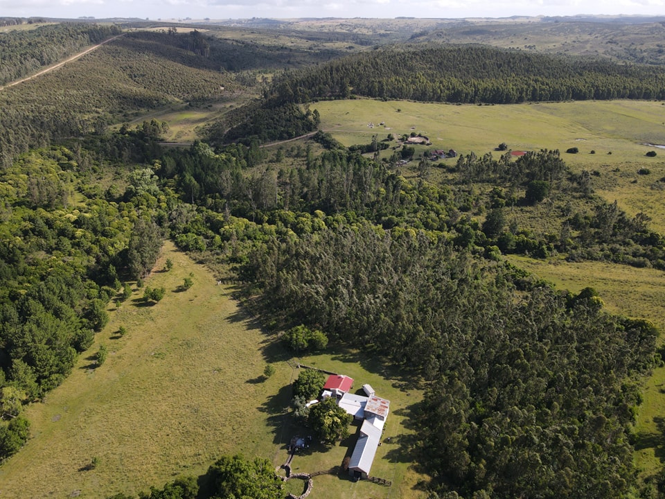 Uruguay 100% Electrificado, se inauguraron obras de electrificación rural en Lavalleja