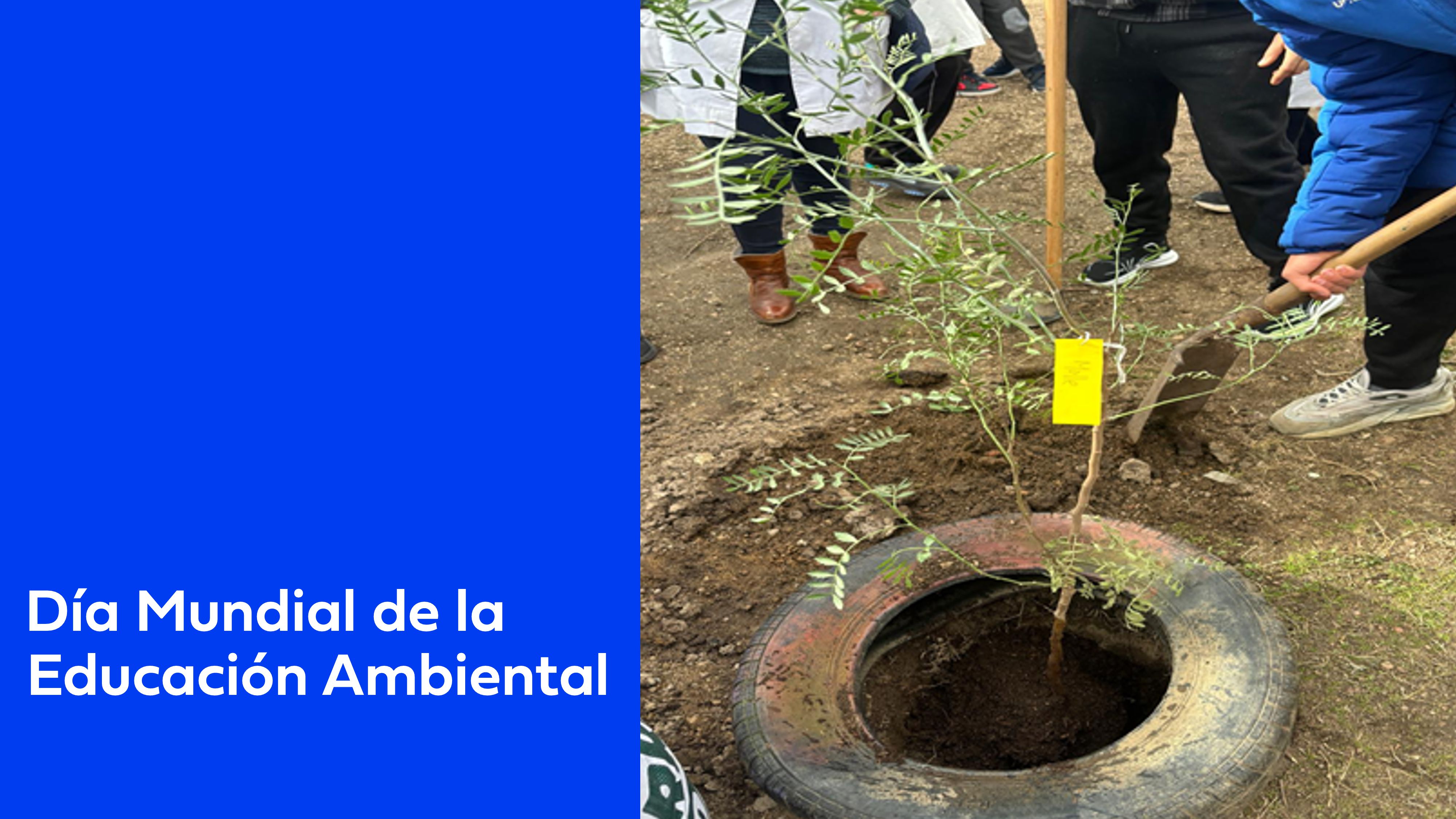 26 de enero Día Mundial Educación Ambiental
