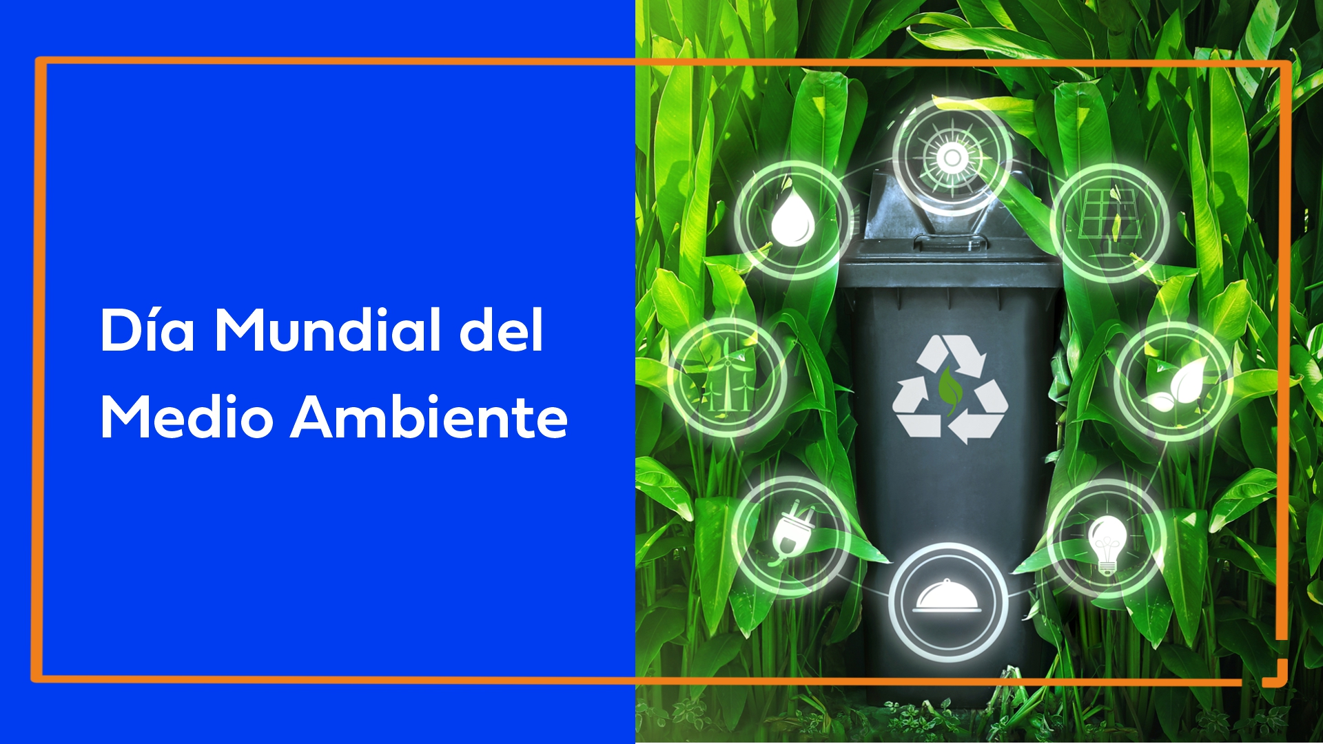 Día Mundial del Medio Ambiente: por un mundo sin contaminación por plásticos
