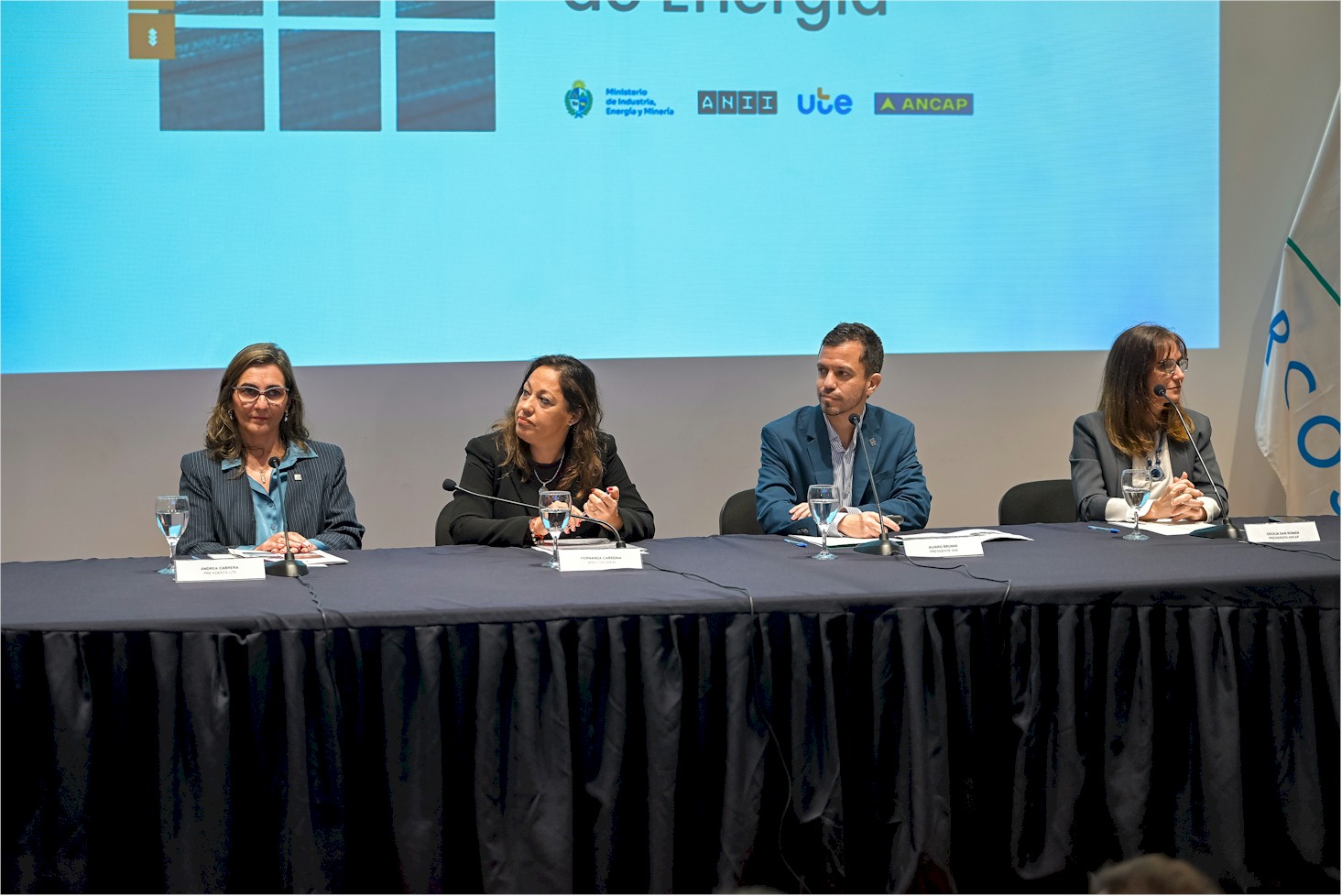 Lanzamiento del Fondo Sectorial de Energía 2026