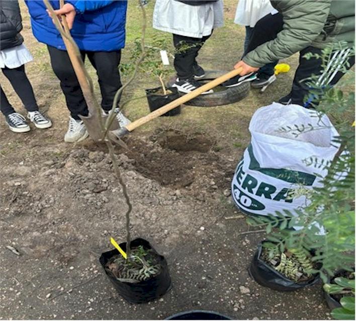 26 de enero Día Mundial Educación Ambiental