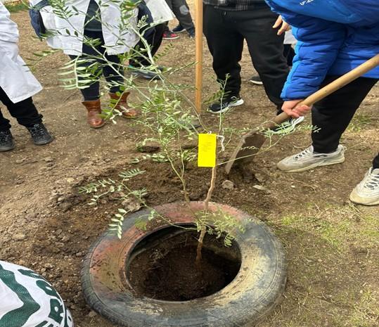26 de enero Día Mundial Educación Ambiental