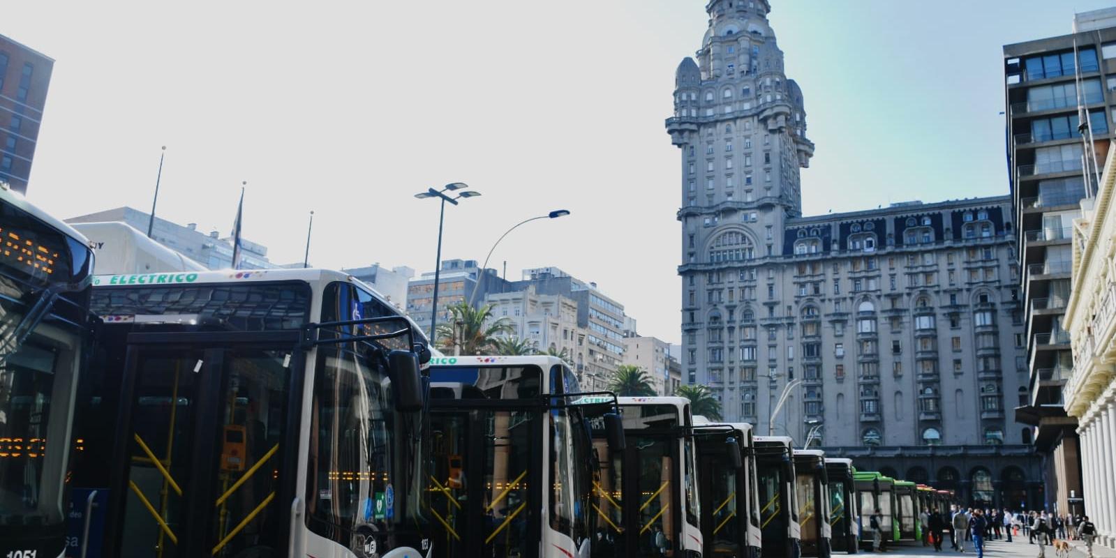 30 nuevos buses eléctricos