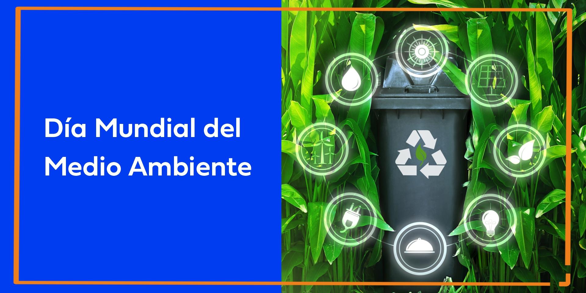 Día Mundial del Medio Ambiente: por un mundo sin contaminación por plásticos